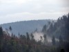 O 2013_Schwarzwald 3